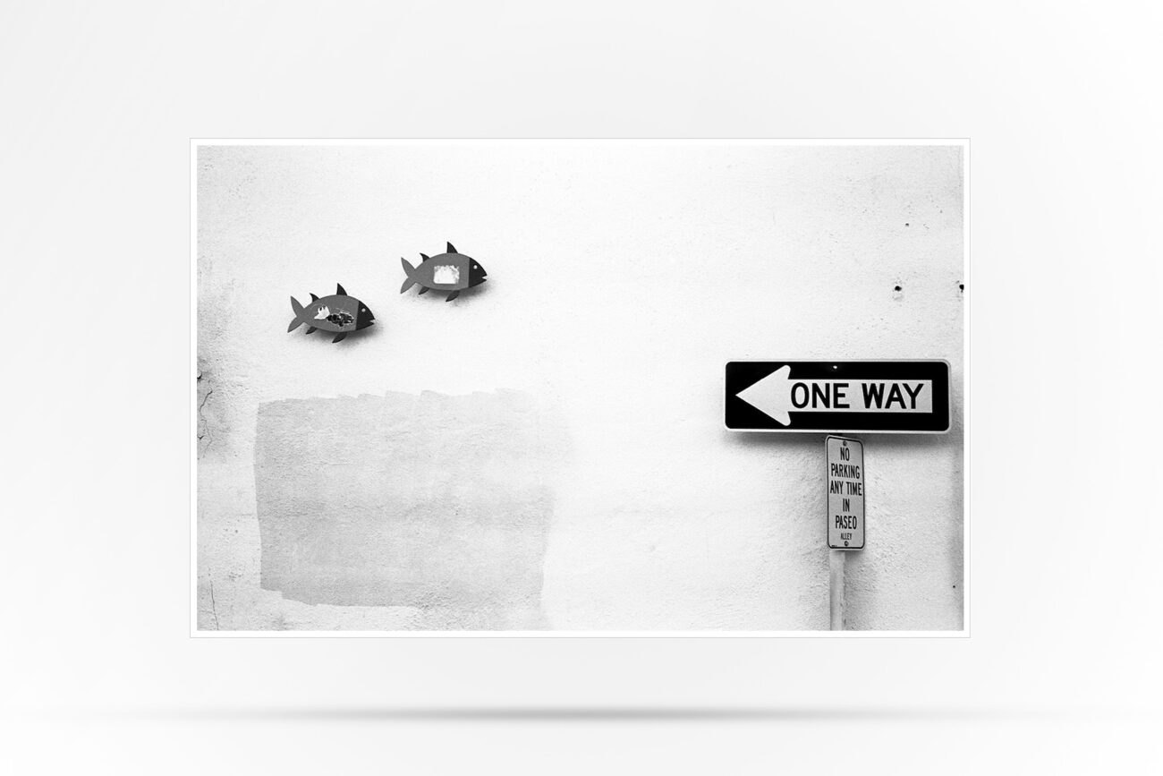 Black and White Photograph of a one way sign, with two ornamental fish swimming in the opposite direction